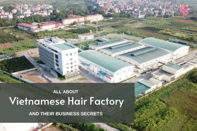 Vietnamese-hair-factory-Vietnam-hair-factory-Vietnam-hair-factories-hair-factory-in-Vietnam