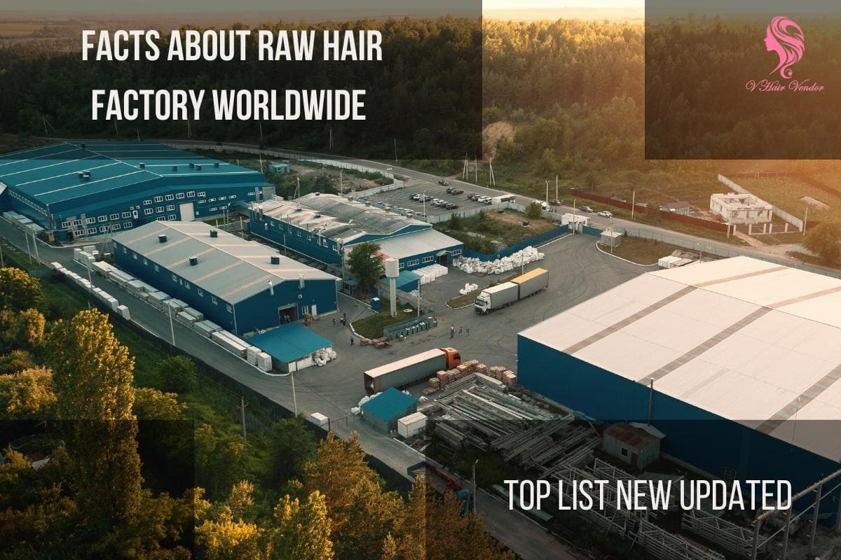 Top 10 Best Raw Hair Factory That You Should Not Miss