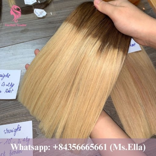 High Quality Vietnamese Raw Virgin Hair - 50