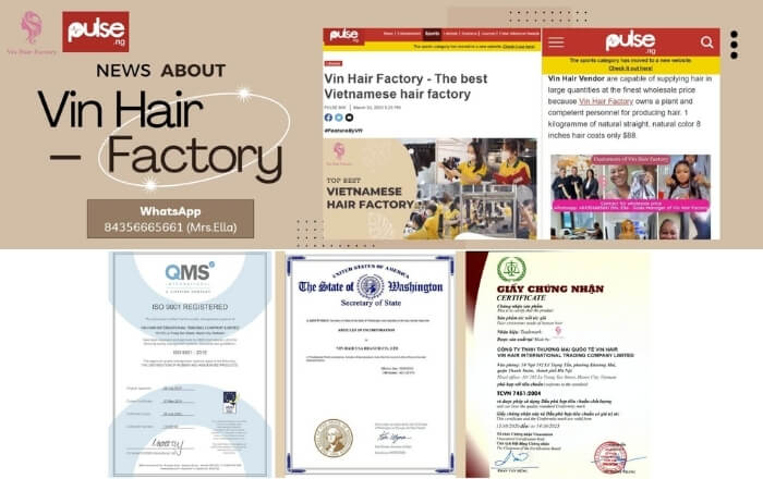 Vin Hair is recognized as the leading reputable supplier today