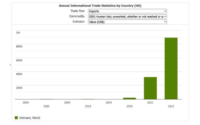 Vietnam's hair export