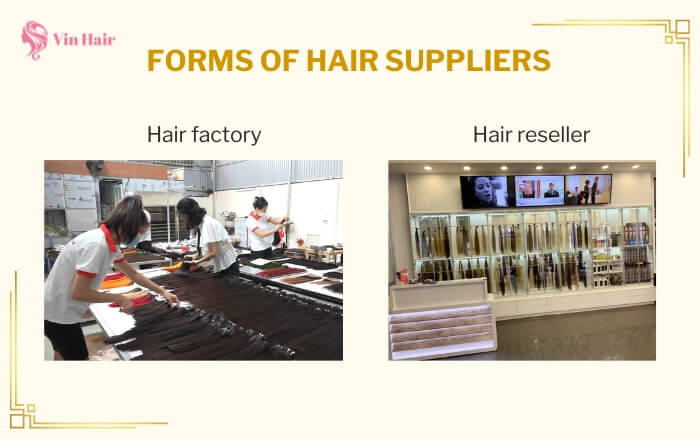 Two main forms of hair suppliers