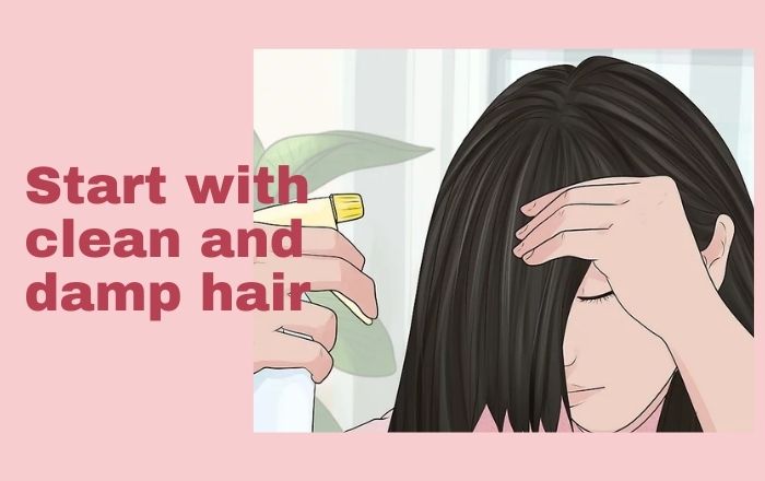 Start with wet and damp hair