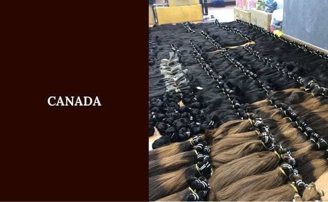 The markets of Toronto Vancouver and Montreal are driving the stable growth of Vietnamese hair sales throughout Canadian territory.